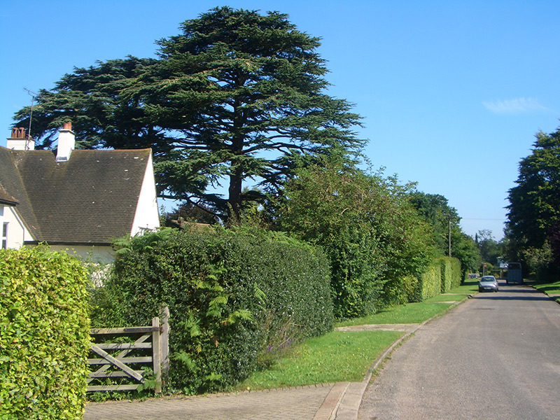 Chipstead Village Surrey Gallery Chipstead Village