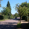 Hollymead Road flanked on both sides by holly bushes forming the boundary between the parishes of Wo