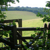 Chipstead valley near White Hill looking towards the Long Plantation