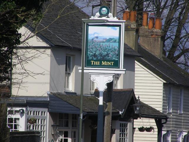 The Mint01