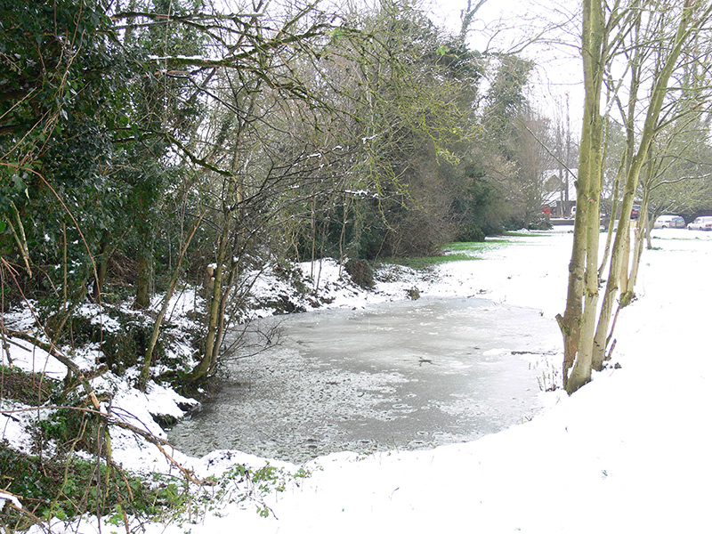 Vincent’s Green pond with a coating of ice, winter 2007