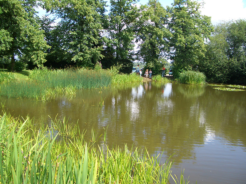 Elmore pond, 2007