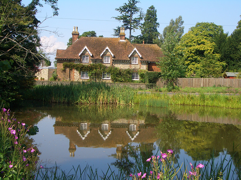 Elmore pond, 2007