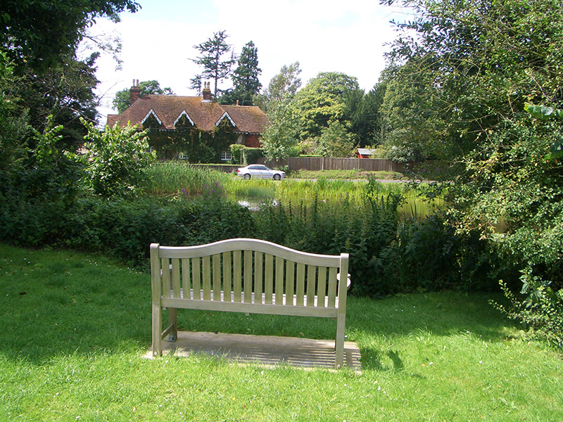 Elmore pond, summer 2007